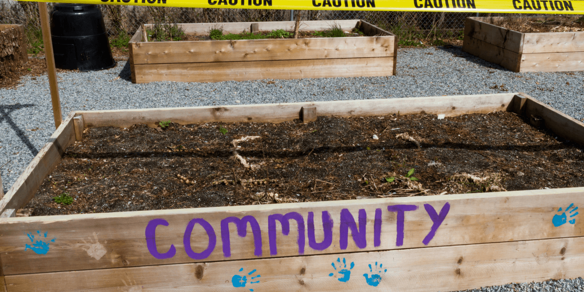 Nevada Today: Sports Wins, Policy Debates, Public Safety and Community Growth