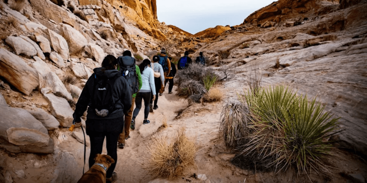 Group hiking along a narrow trail in a rocky desert landscape with vegetation