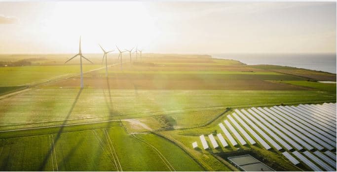 Green fields