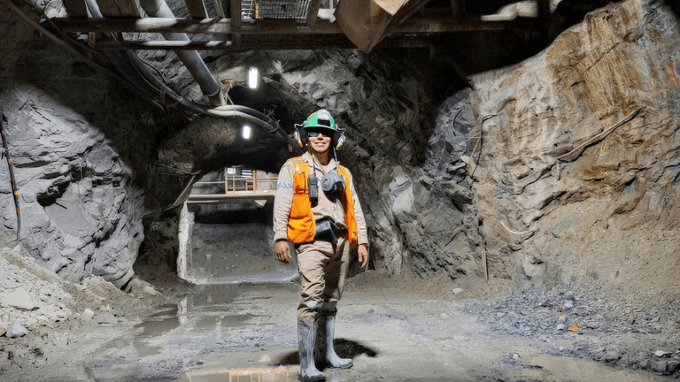 Nevada Critical Minerals
