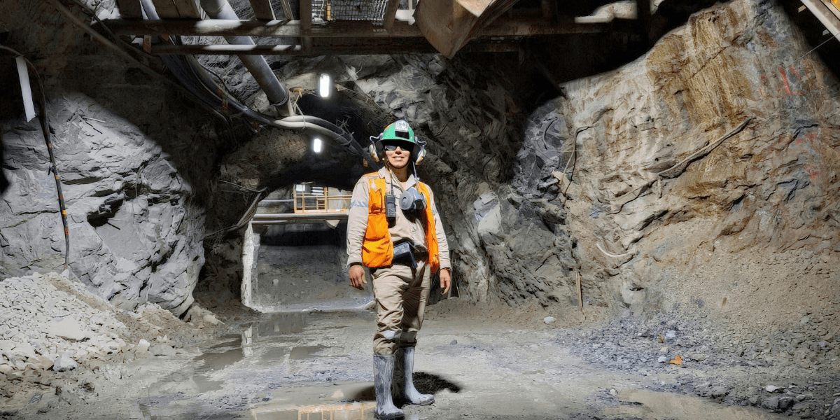 Nevada Critical Minerals