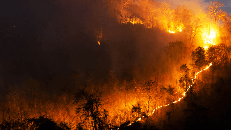 Southern Nevada wildfire response