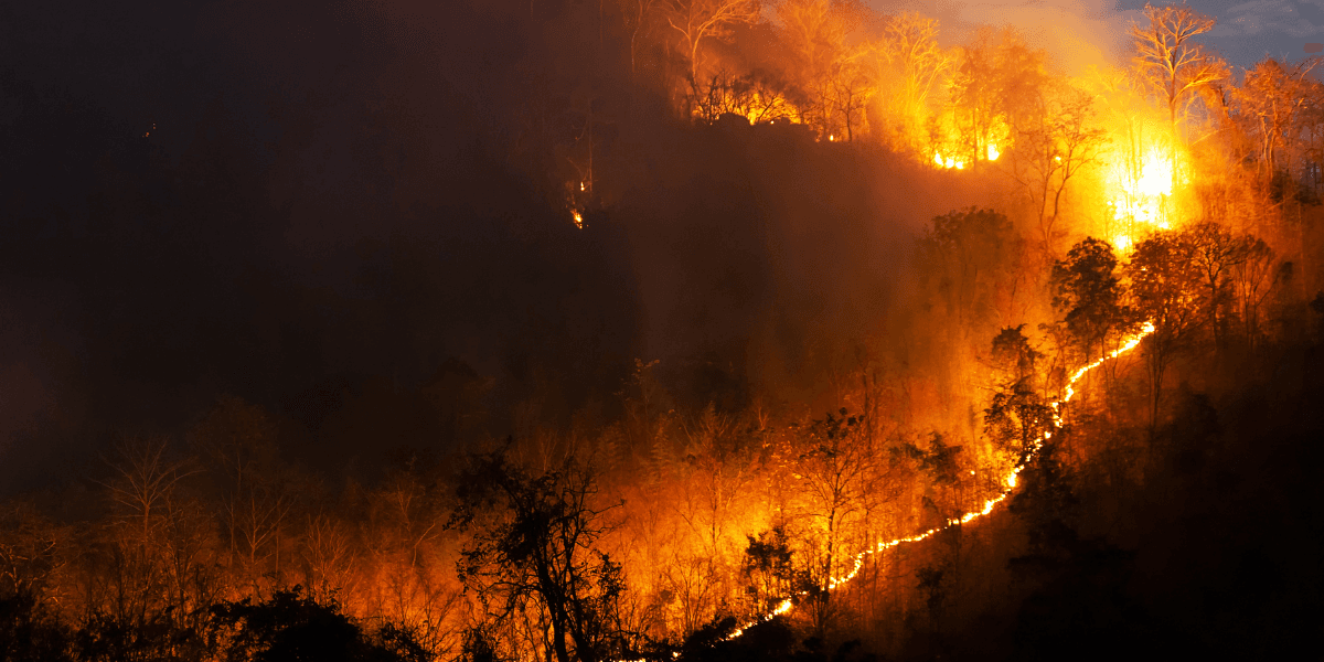 Southern Nevada wildfire response