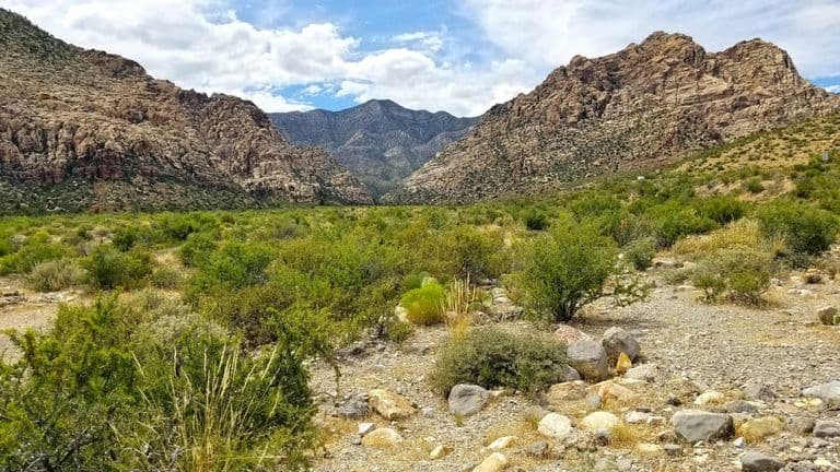 Environmental Conservation: Avi Kwa Ame National Monument Proposal