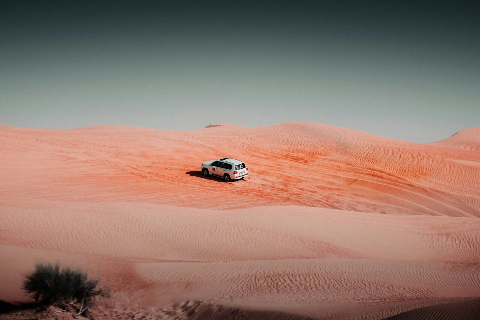 Bacila vlad leev4slhiby unsplash