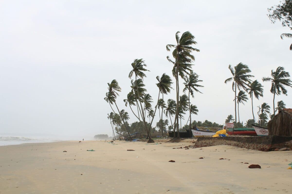 Cyclone Chido Strikes Mayotte and Northern Mozambique, Causing Widespread Destruction