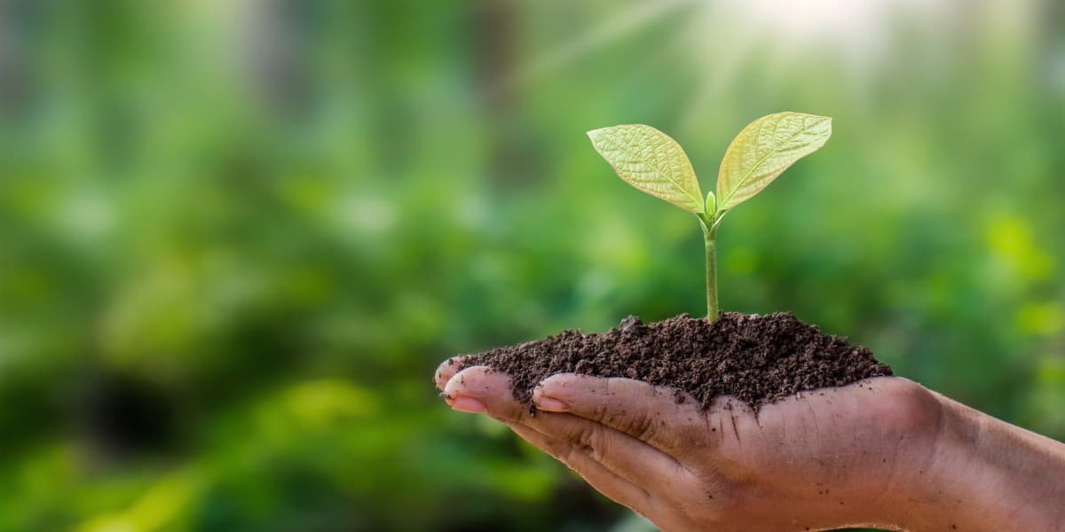 Earth Day – Global Observance of Environmental Action