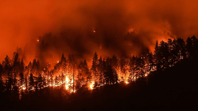 Intense wildfire burning through a forest, emitting bright flames and thick smoke