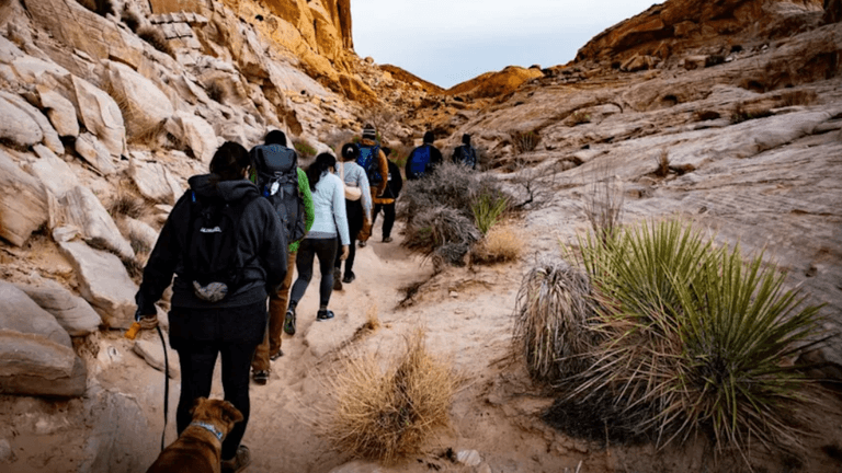 Group hiking along a narrow trail in a rocky desert landscape with vegetation