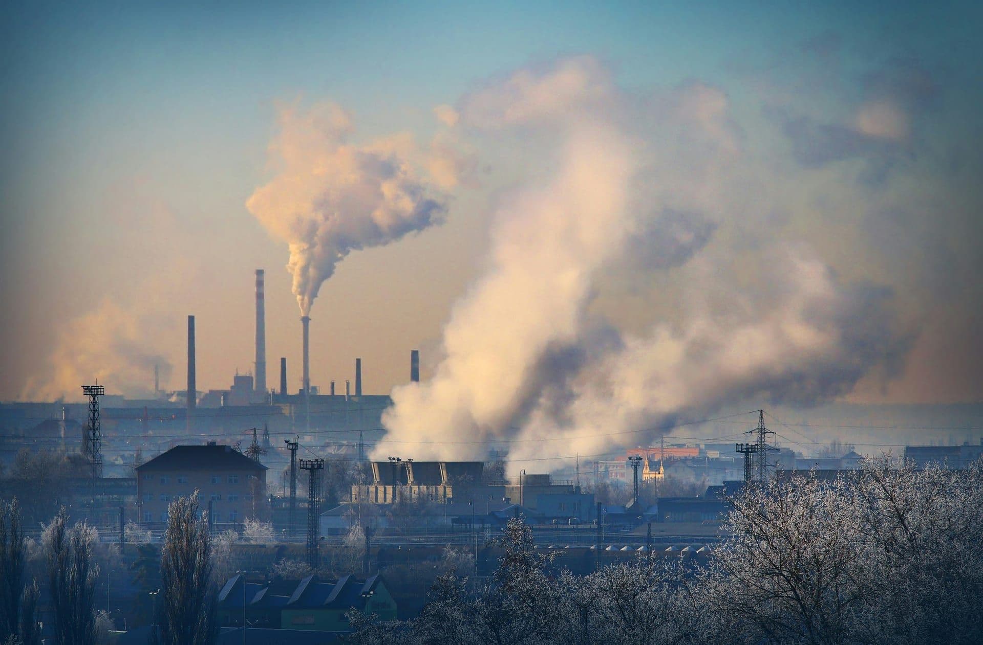 Review of Climate Disclosures in UK Companies