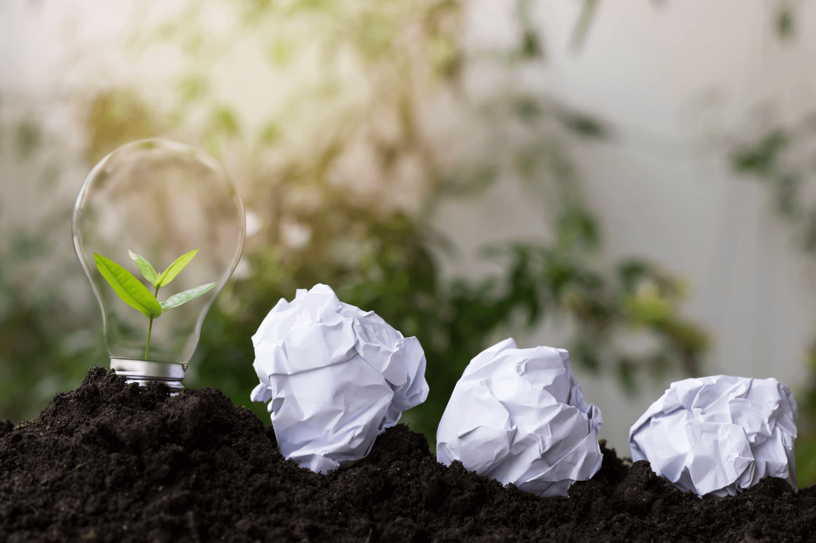 Green innovation