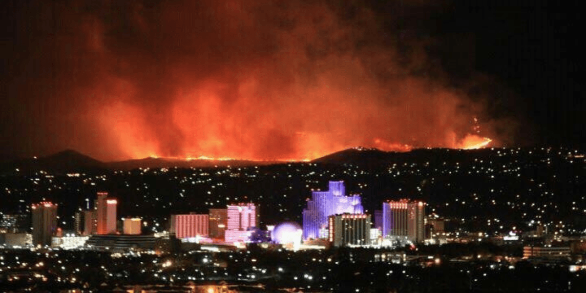 Bug Fire Reno wildfire damage
