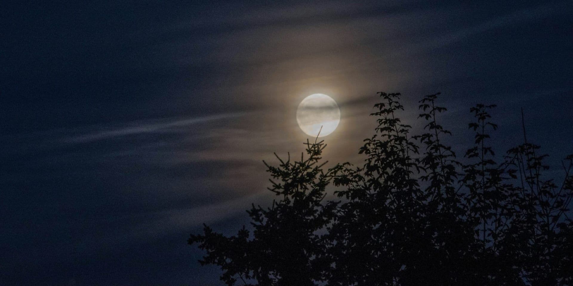 Raksha Bandhan Celebrated Across the U.S. Under the Glow of the Sturgeon Moon