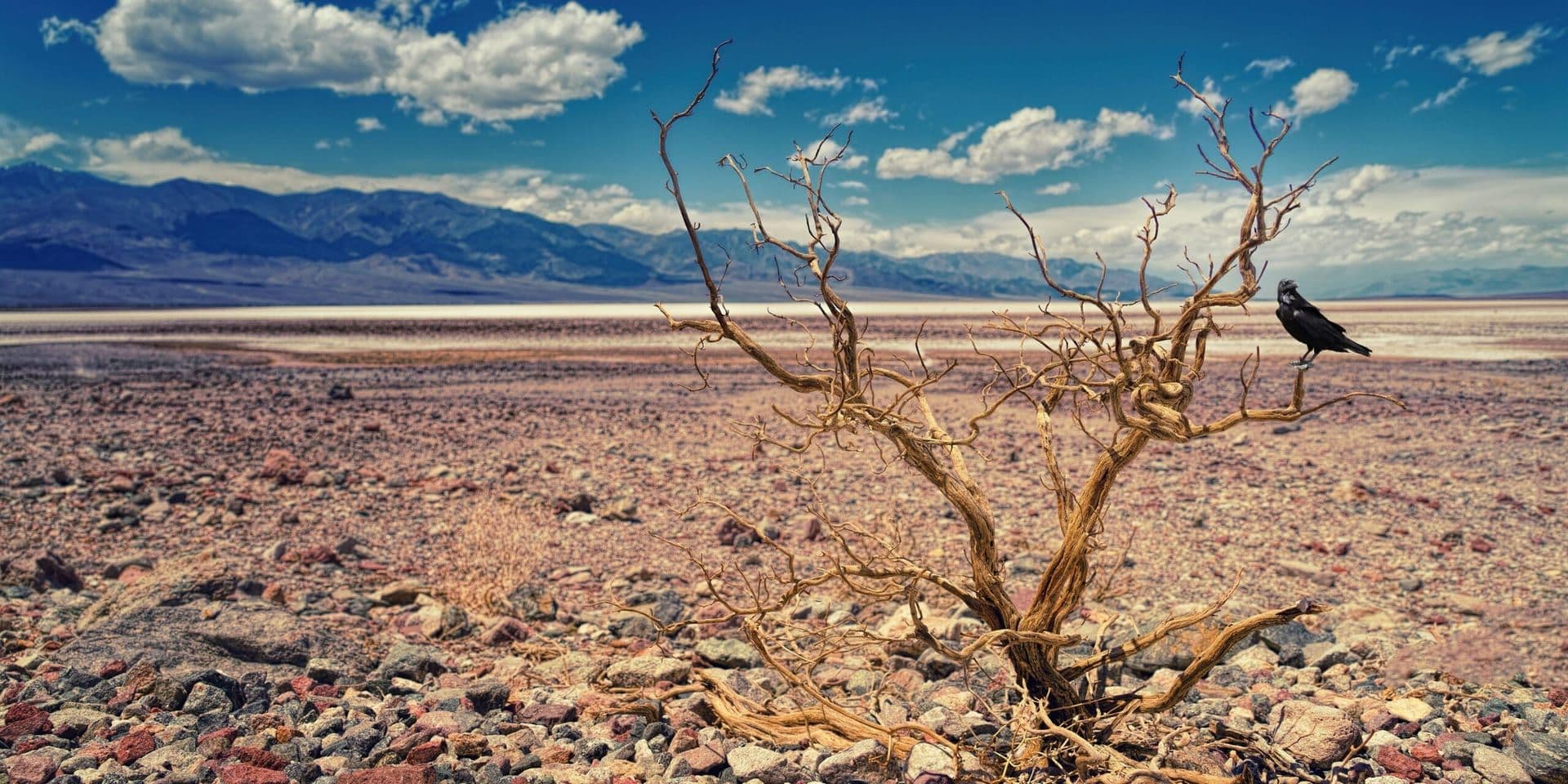 Record Heat Wave Hits Nevada: A Statewide Crisis in 2025