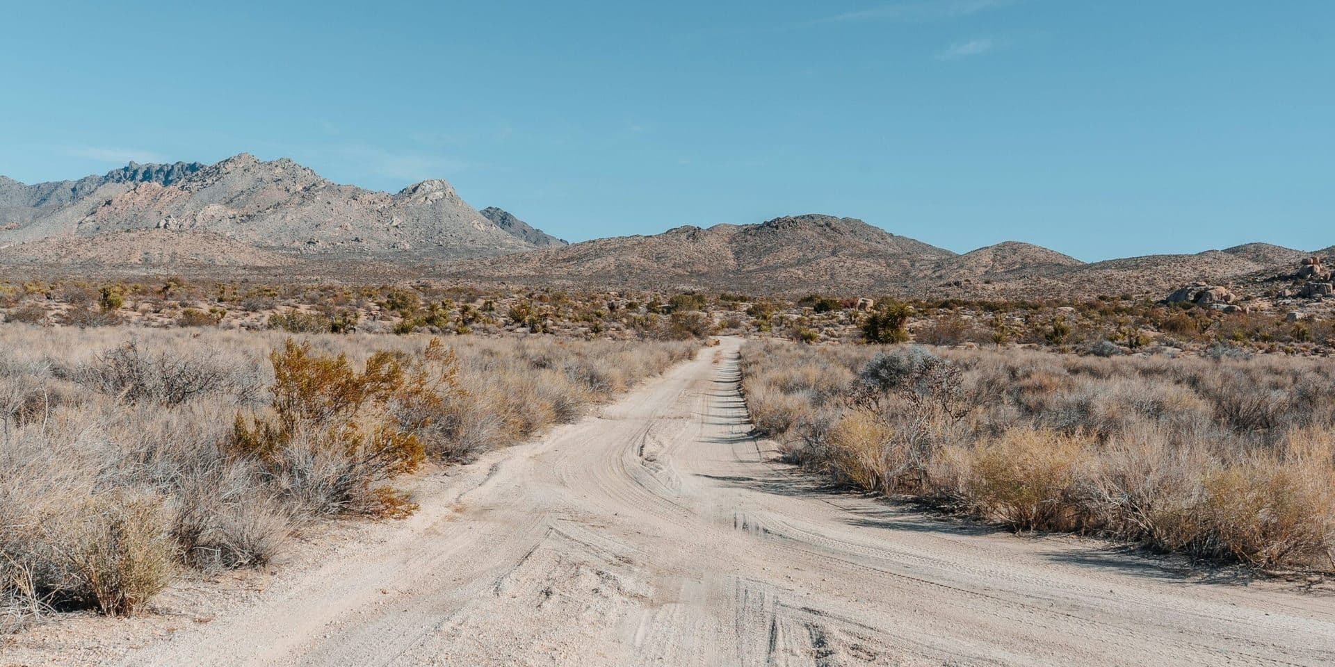 Nevada’s Cultural Landscape in June 2025