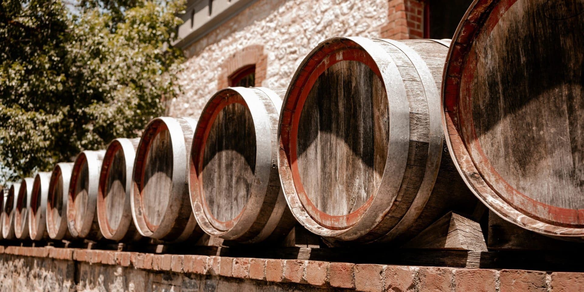 Texas Wine Industry’s $24.39 Billion Economic Impact