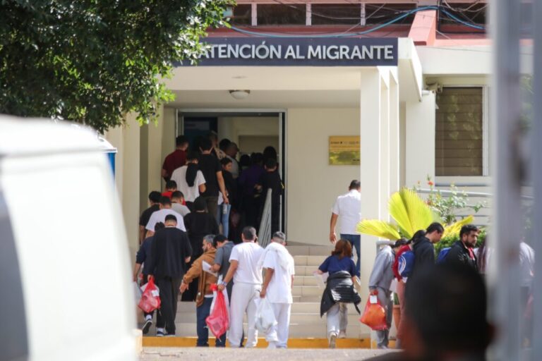 Immigration lawyers mobilize to halt deportations to libya and saudi