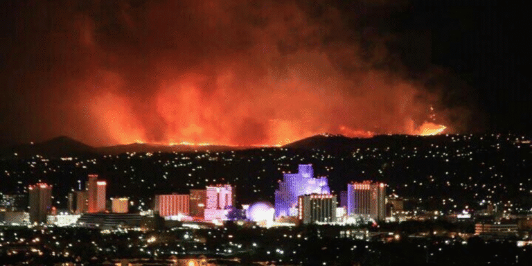 Bug Fire Reno wildfire damage