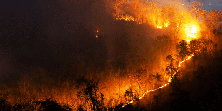Southern Nevada Crews Deploy to Aid Reno-Area Wildfire Response Southern Nevada wildfire response